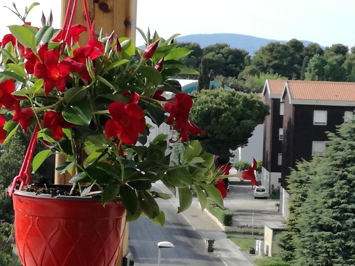 Nel Blu Dipinto Di Blu Appartement Porto Recanati Buitenkant foto
